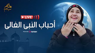 Download Lagu بث مباشر- مريم سيد || احباب النبى الغالى MP3 Download Lagu بث مباشر- مريم سيد || احباب النبى الغالى MP3