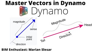 Master Vectors in Dynamo | Essentials | Part 1