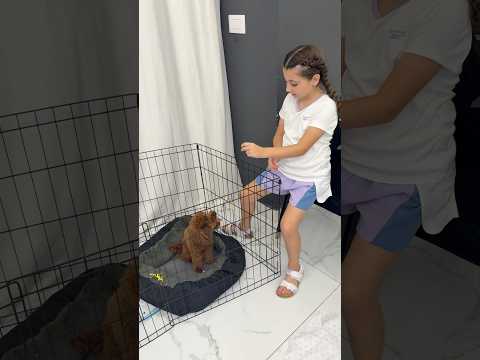 الين مبسوطة مع سكوبي ببيت نايا 😍