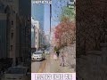 대치동 포스코더샵 아파트 벚꽃 | 테헤란로78길 | 갤럭시Z폴드2 #Shorts