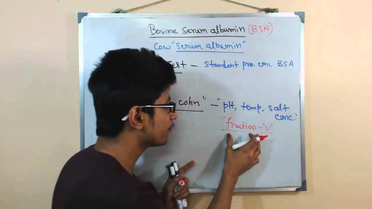 Bovine serum albumin | BSA protein - YouTube