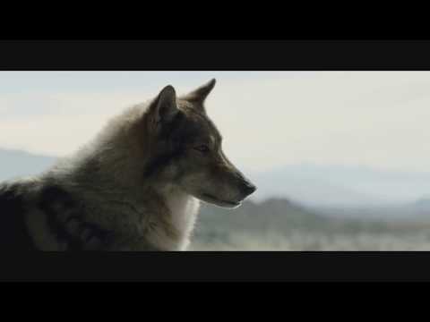 ALPHA - Filmclip deutsch "Friedensangebot" | Ab 7.9.2018 nur im Kino