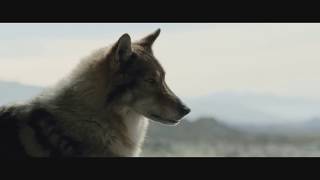 ALPHA - Filmclip deutsch 'Friedensangebot' | Ab 7.9.2018 nur im Kino