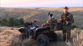 Mark Kayser Explains How To Stay Safe from Coyote Fleas