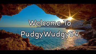 Welcome To PudgyWudgy54