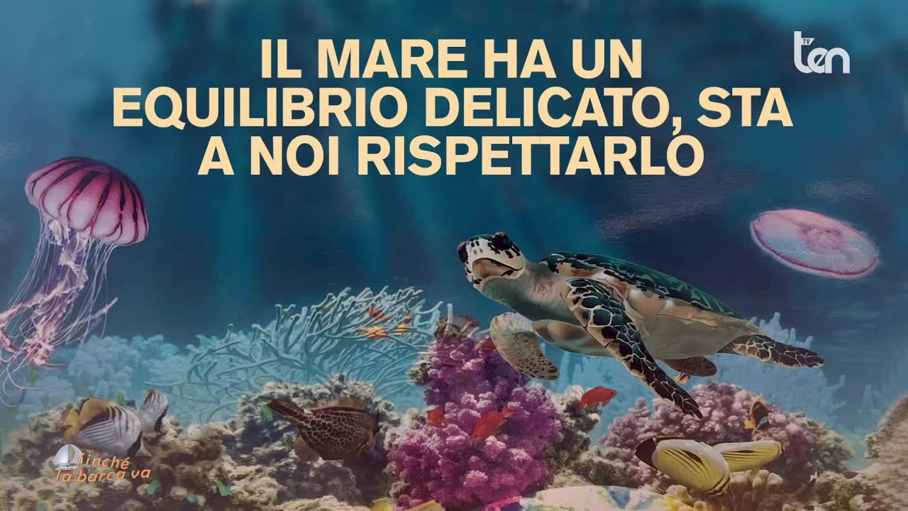 FINCHÉ LA BARCA VA - Laghi di Sibari (Cs) 29 agosto 2024