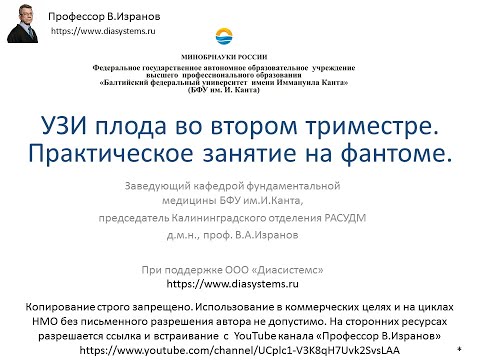 УЗИ плода во втором триместре. Практическое занятие на фантоме.