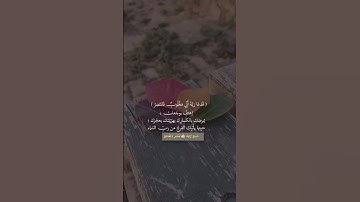فدعا ربه أني مغلوب فأنتصر #قرآن كريم#تلاوات#