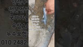 인천누수탐지 아파트천장누수 방수공사업체 #인천누수 #인천누수탐지 #인천누수업체 #인천화장실누수 #인천아파트누수 #인천빌라누수 #인천베란다누수 #남동구누수 #연수구누수 #계양구누수