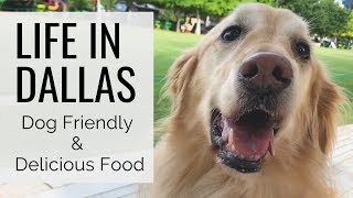 Life in Dallas at the CRI   Diverse Food and Dog Friendly