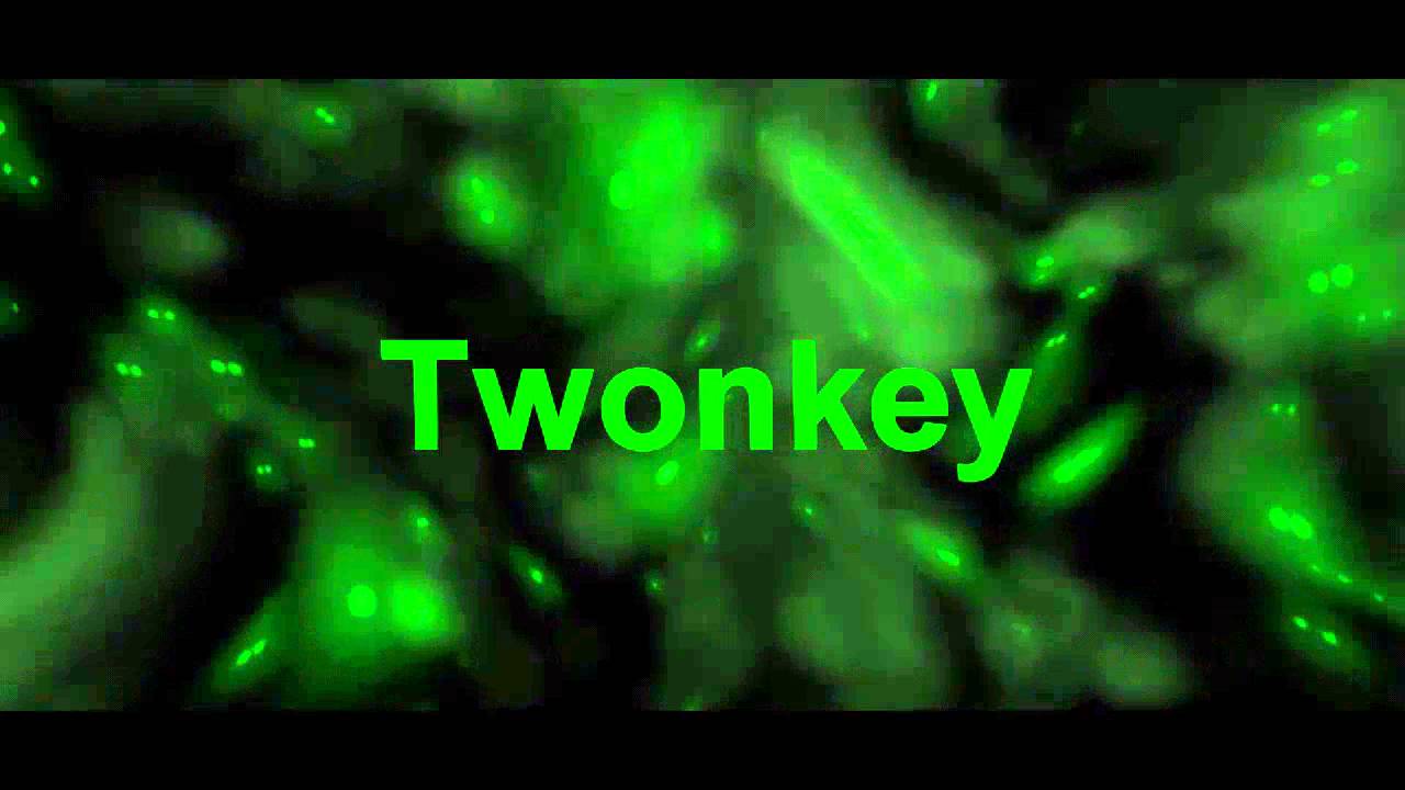INTRO Для КАНАЛА:Twonkey.
