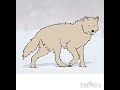 Wolf drawing! Creds:owner of picture (check desc)