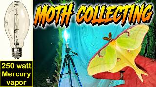 MOTH COLLECTING LIGHT   250 WATT MERCURY VAPOR LAMP