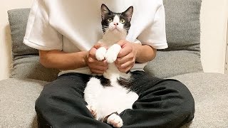 病気についてご報告