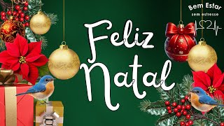 Feliz Natal! A mais bela mensagem natalina! É tempo de Luz! Feliz Natal! A mais bela mensagem natalina! É tempo de Luz!