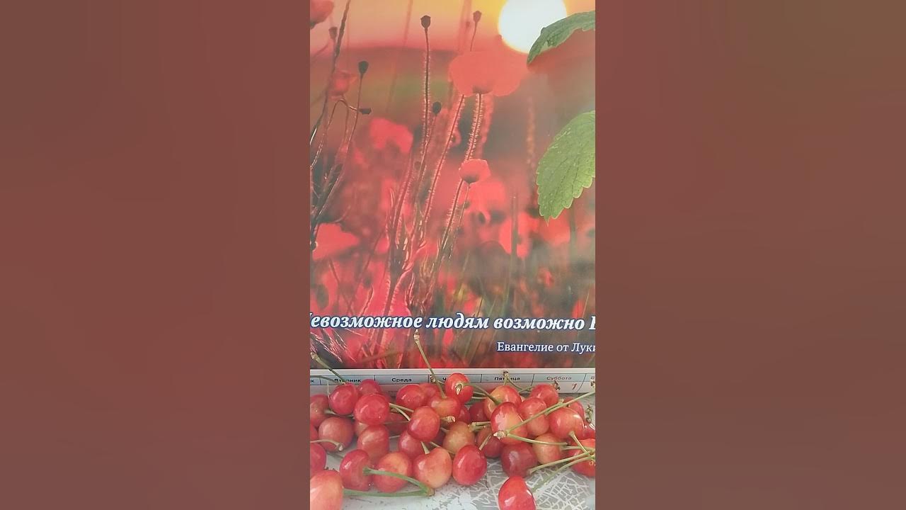 Песня:"Будем любить Его,будем хвалить!"ЗА ВСЕ БЛАГОДАРИТЕ БОГА!" - YouTube