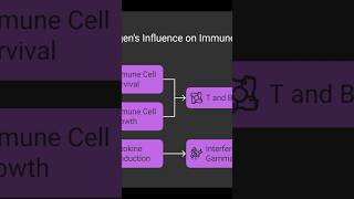 Hidradenitis Suppurativa: What REALLY Causes It? | Pathogenesis Explained #shorts  #science #biology