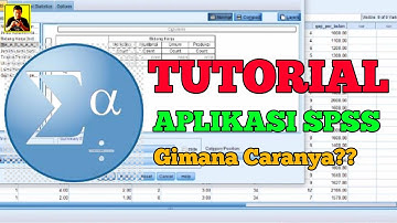 Cara menggunakan spss untuk mengolah data penelitian - cara menggunakan spss untuk pemula