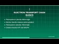 Photosynthesis Complete Guide: Light & Dark Reactions | NEET 2026