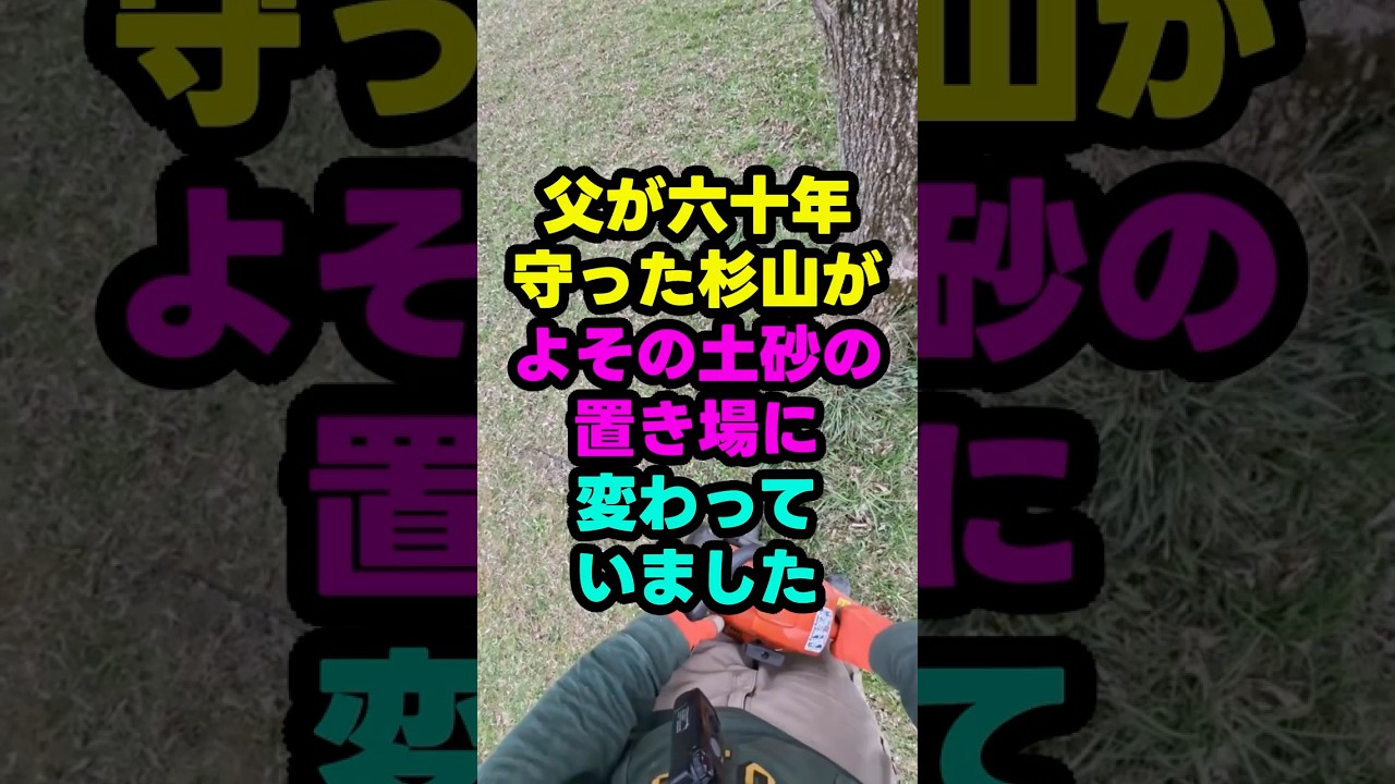 父が六十年守った杉山が、よその土砂の置き場になっていました