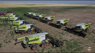 2021 Colorado Wheat Harvest with 12 Claas Lexion 7500 combines