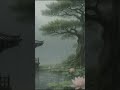 연꽃 호수에 내리는 비 8 Rain Over Lotus Lake#RainSounds  #HealingRain