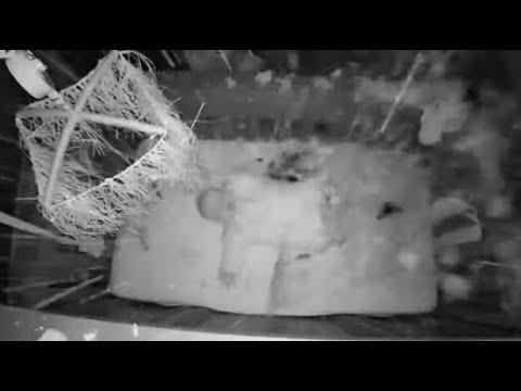 5-month-old survives tree slicing home in half, sending debris on crib | ABC7