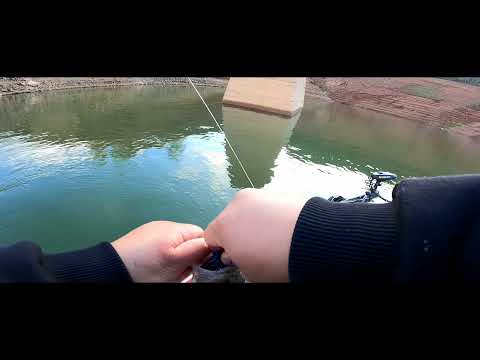 Lake McClure bass fishing.. (short edit)