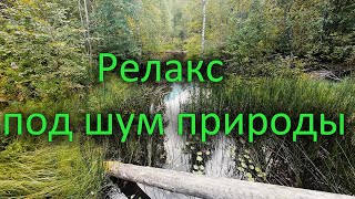 картинка: Релакс. Карелия