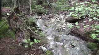 Mt Mansfield Hiking Long Trail To Profanity Trail