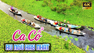 Ca Cổ Hơi Dài 1000 Chữ Ru Ngủ Về Đêm Hay Nhất - Ca Cổ Cải Lương Xưa Thư Giãn Êm Tai🌾Tân Cổ Dân Ca