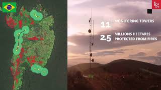 Embrace the Forest: Uniting for Forest Conservation and Climate Action