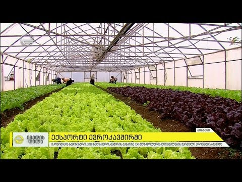 ექსპორტი ევროკავშირში