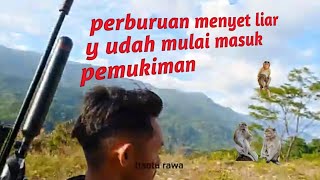 Hunting Safari Shoot Monkey Compilation