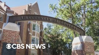 University of Florida eliminates all diversity, equity and inclusion positions