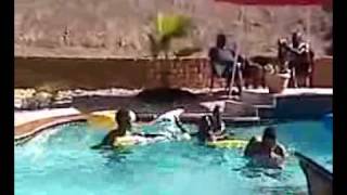 My family summer splash bash