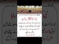 #viralshorts#allahquotes#islamicquotes#deen ki baten