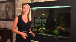 22 Whimbrel Avenue Berkeley 2506 NSW