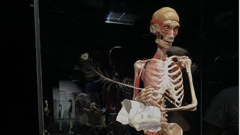 Communication 100 - Introduction