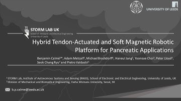 Calmé et al   IEEE Robotics and Automation Letters 2024   STORM Lab