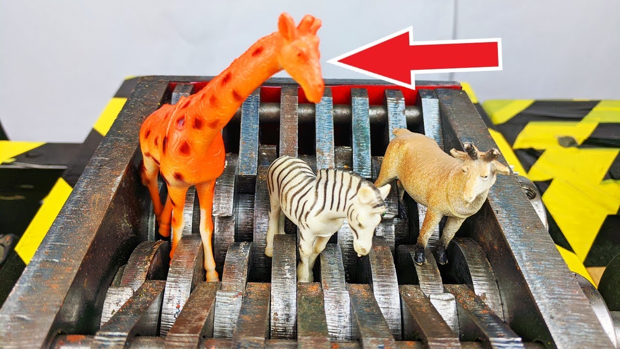 Shredder vs Giraffe & Zebra(toys) Satisfying YouTube