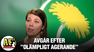 Elin Söderberg Avgår Efter Agerande På Miljöpartiets Fest