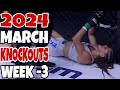 Mma  boxing knockouts i march 2024 week 3