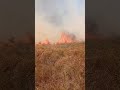 Agriculture ministry urges public to avoid open fires as more farmland burns in St Elizabeth