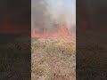 Agriculture ministry urges public to avoid open fires as more farmland burns in St Elizabeth