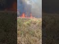 Agriculture ministry urges public to avoid open fires as more farmland burns in St Elizabeth