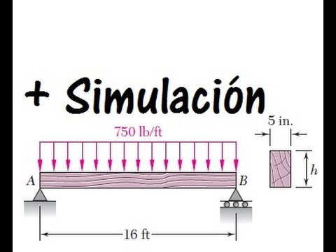 Viga de madera (L x An x Al: 400 x 12 x 6 cm, Pino/abeto)