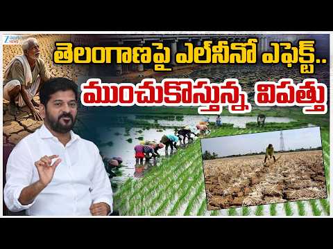 CM Revanth | El Nino Effect in Yasangi Paddy Cultivation | తెలంగాణపై ఎల్‌నీనో ఎఫెక్ట్.. ZEE