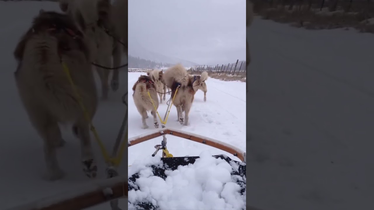 No time to stop 🛑 