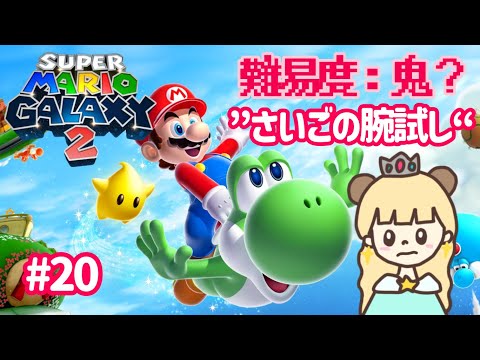 せなくまチャンネル - YouTube